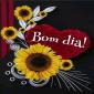 Manoel Moreira
